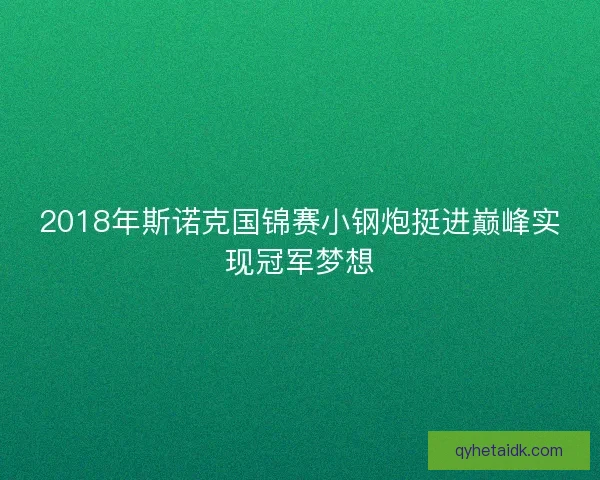2018年斯诺克国锦赛小钢炮挺进巅峰实现冠军梦想