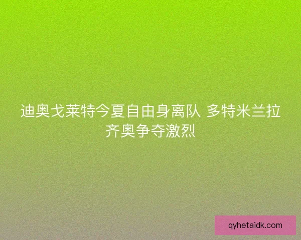 迪奥戈莱特今夏自由身离队 多特米兰拉齐奥争夺激烈 迪奥戈莱特今夏自由身离队 多特米兰拉齐奥争夺激烈